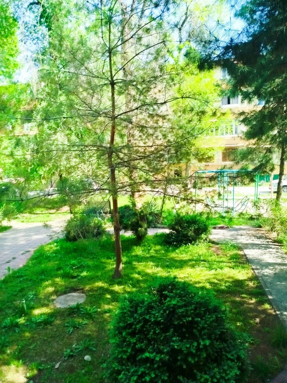 Kvartira, Около 35 поликлиника — rasm 1